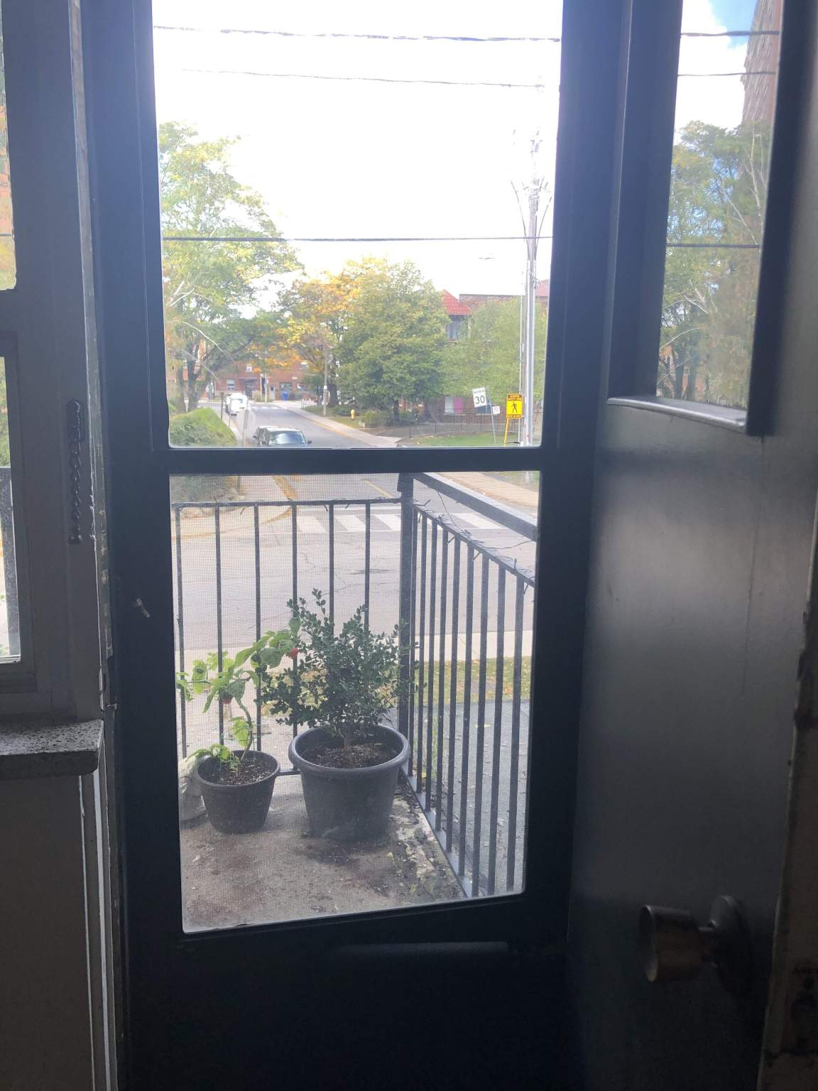 105 Raglan ave - Photo 2
