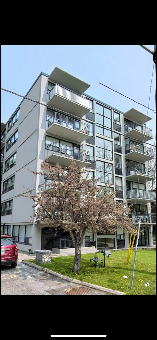 105 Raglan ave