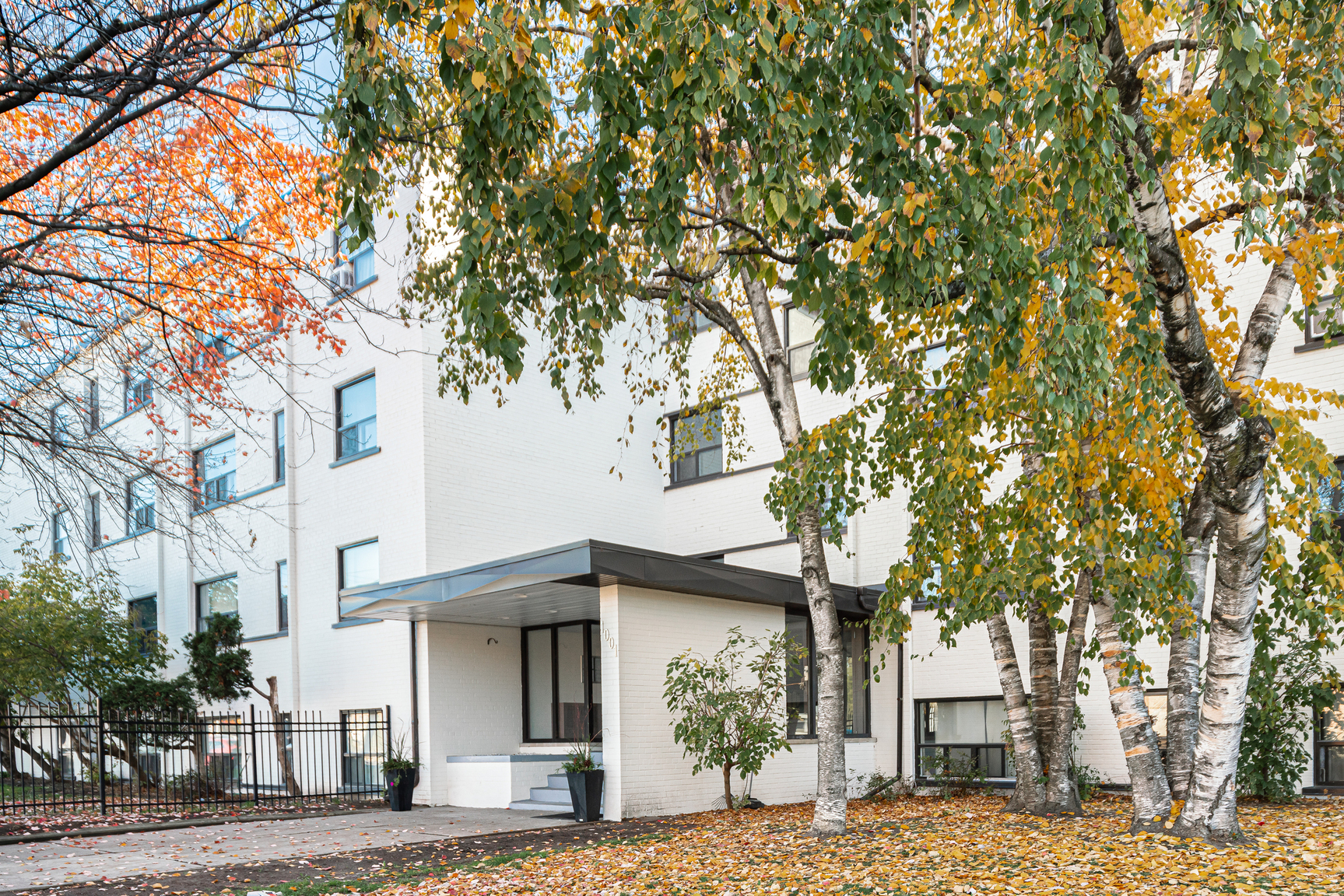 1001 O'Connor Drive - Photo 3