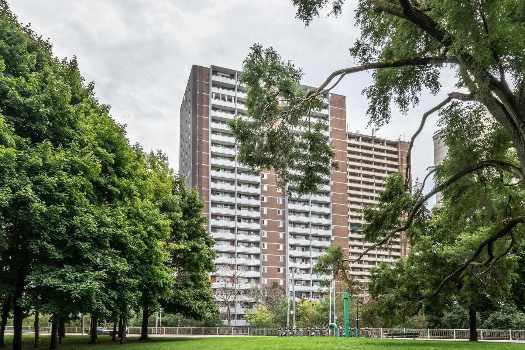 230 Oak Street - Photo 11