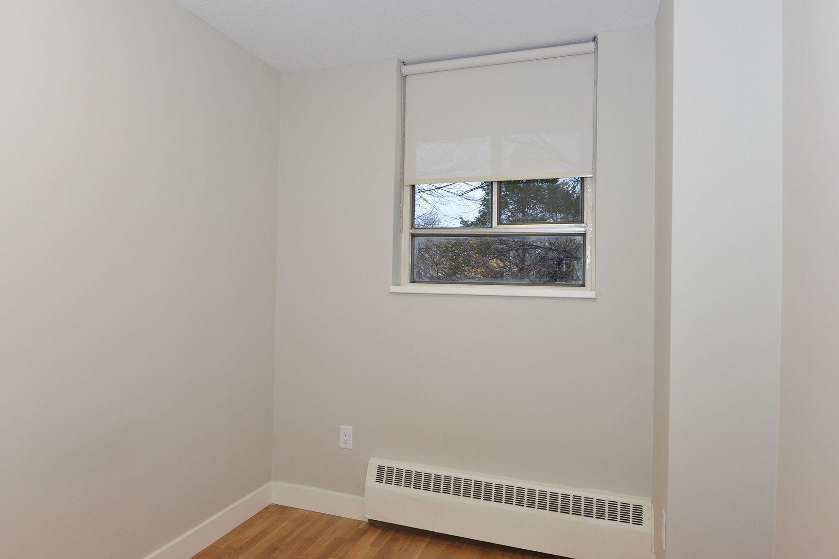 230 Oak Street - Photo 8