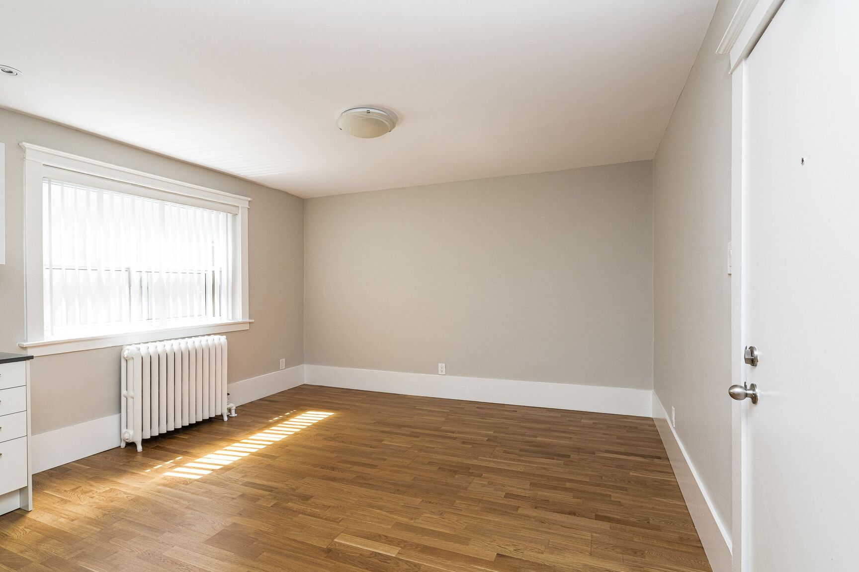 54 - 56 Maitland Street - Photo 7