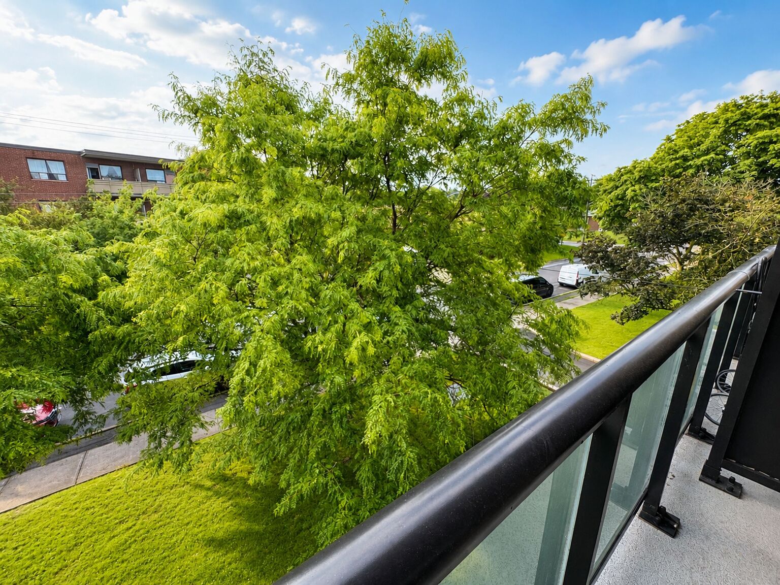 25 Eccleston Drive - Photo 33
