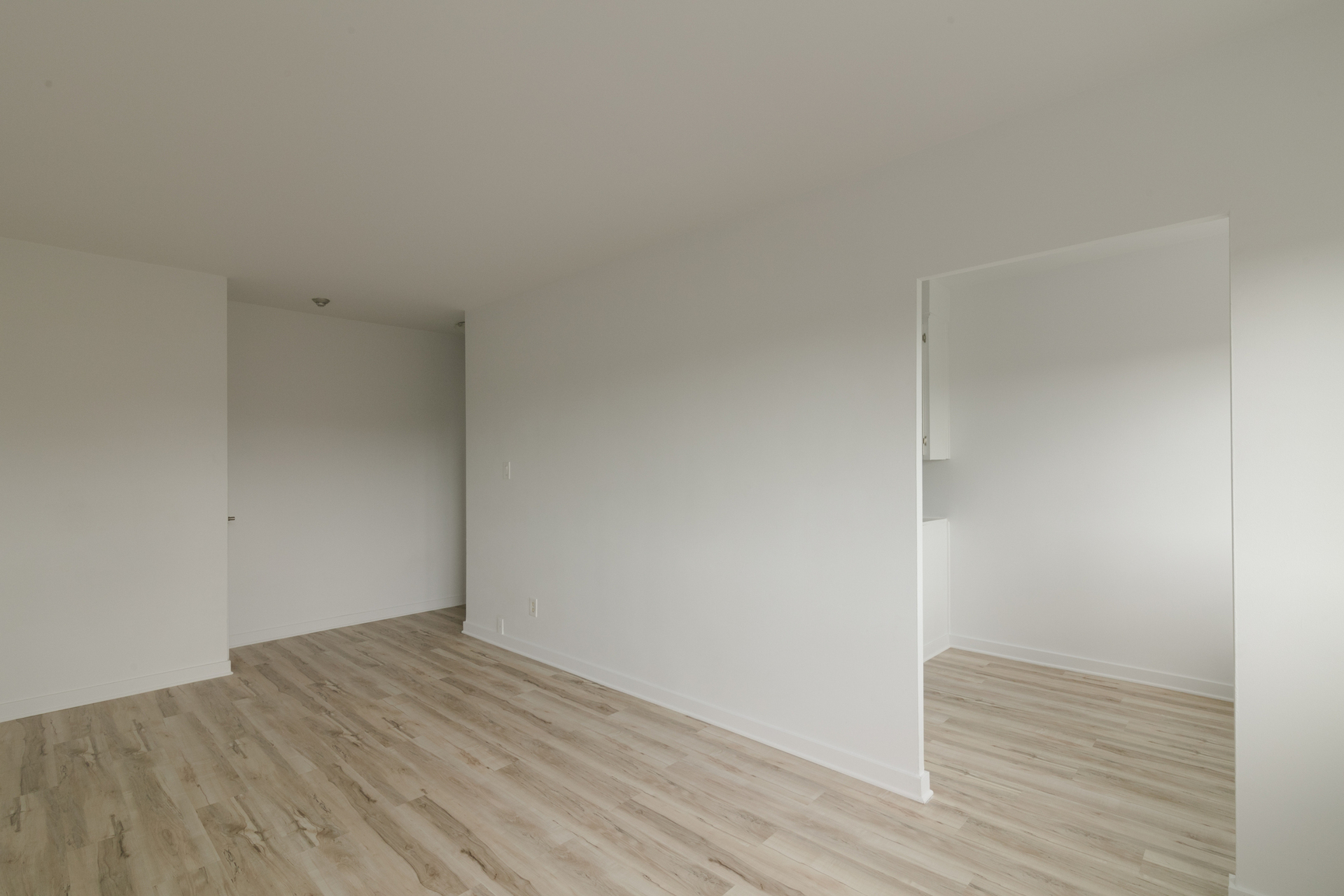 809 Bloomfield Avenue - Photo 5