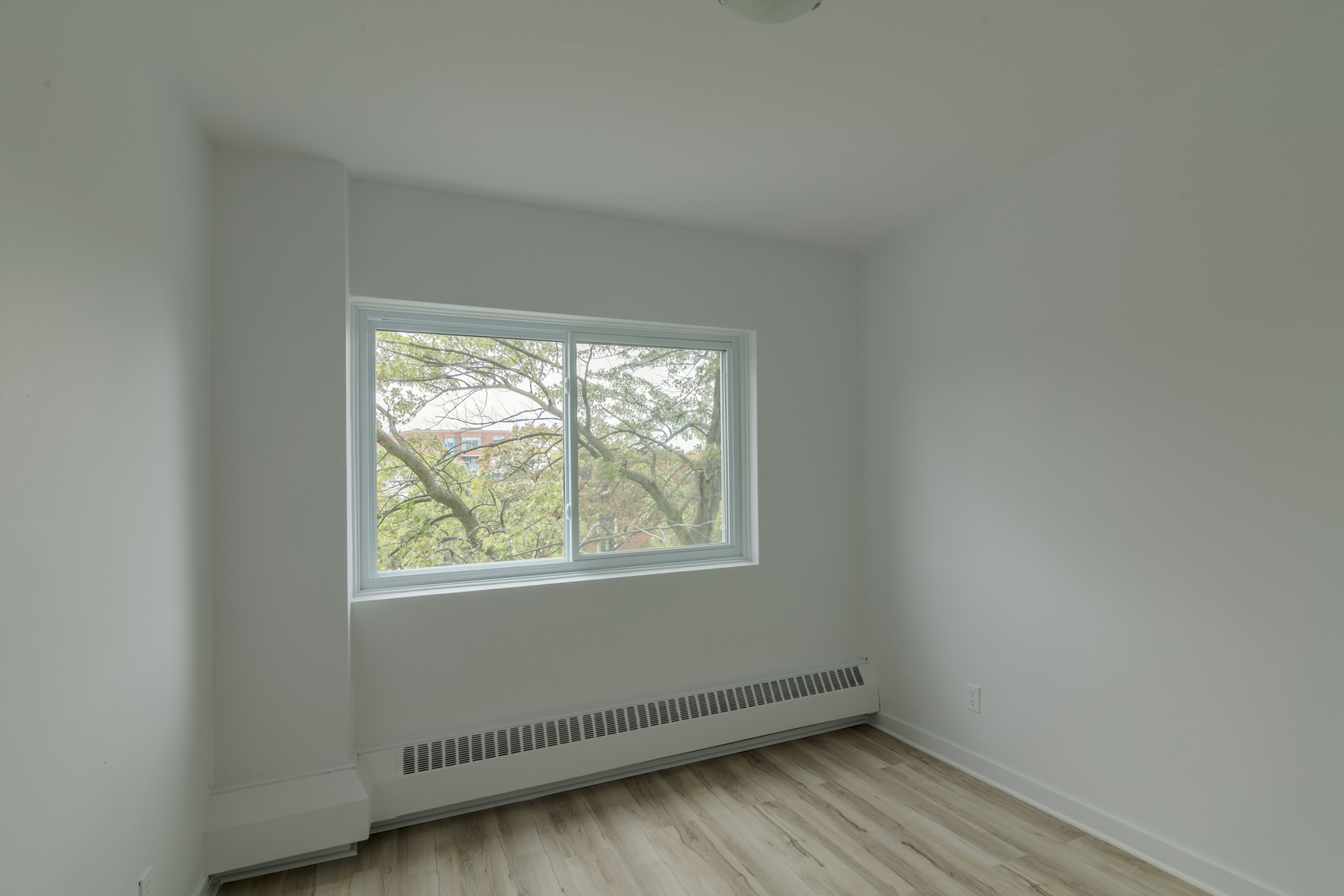 809 Bloomfield Avenue - Photo 10