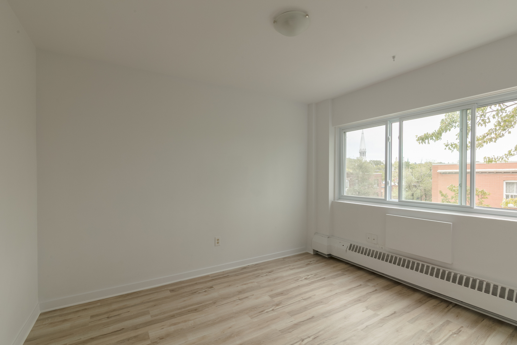 809 Bloomfield Avenue - Photo 12