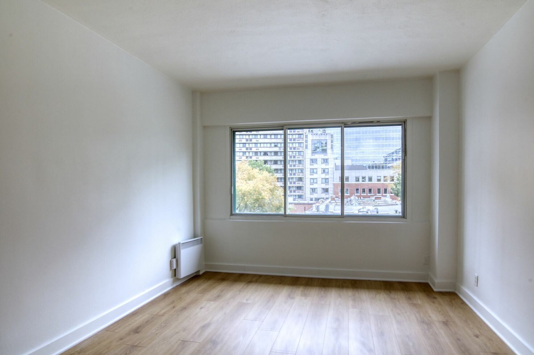 3455 Aylmer - Photo 166