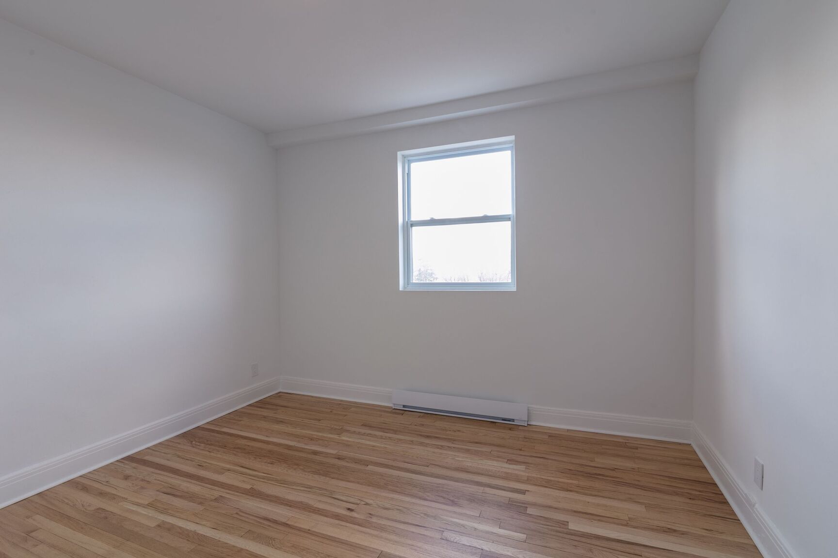 4870 Queen Mary Road - Photo 13