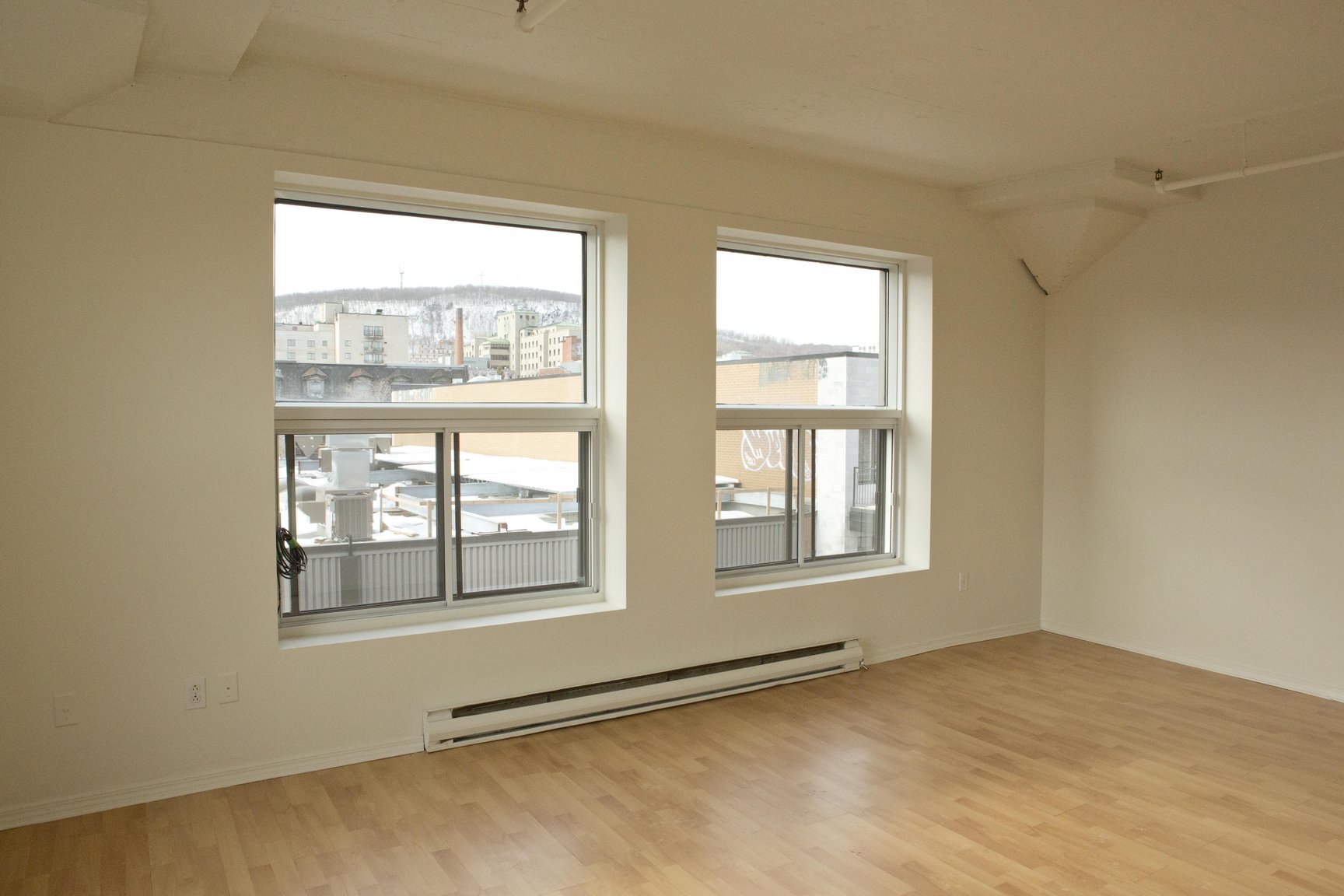 3755 St-Dominique - Photo 4