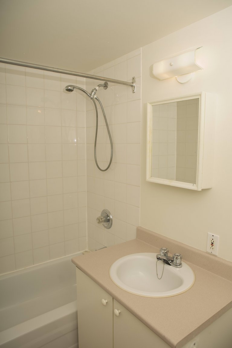3755 St-Dominique - Photo 5