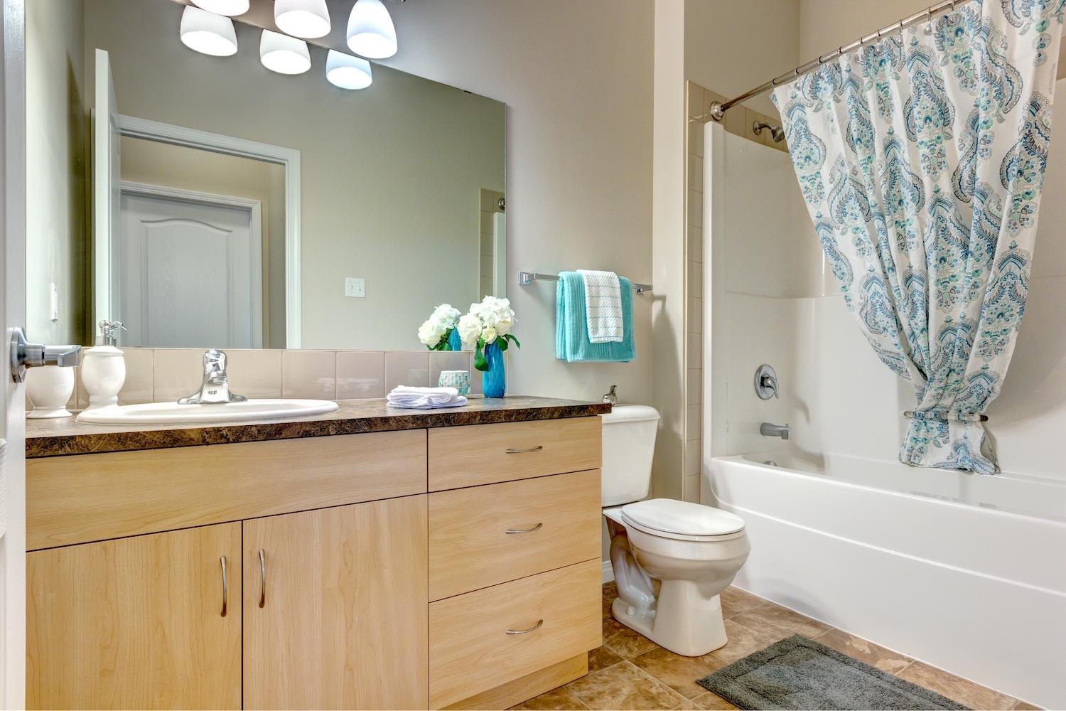 Big Lake Pointe 12 Affordable - Photo 11