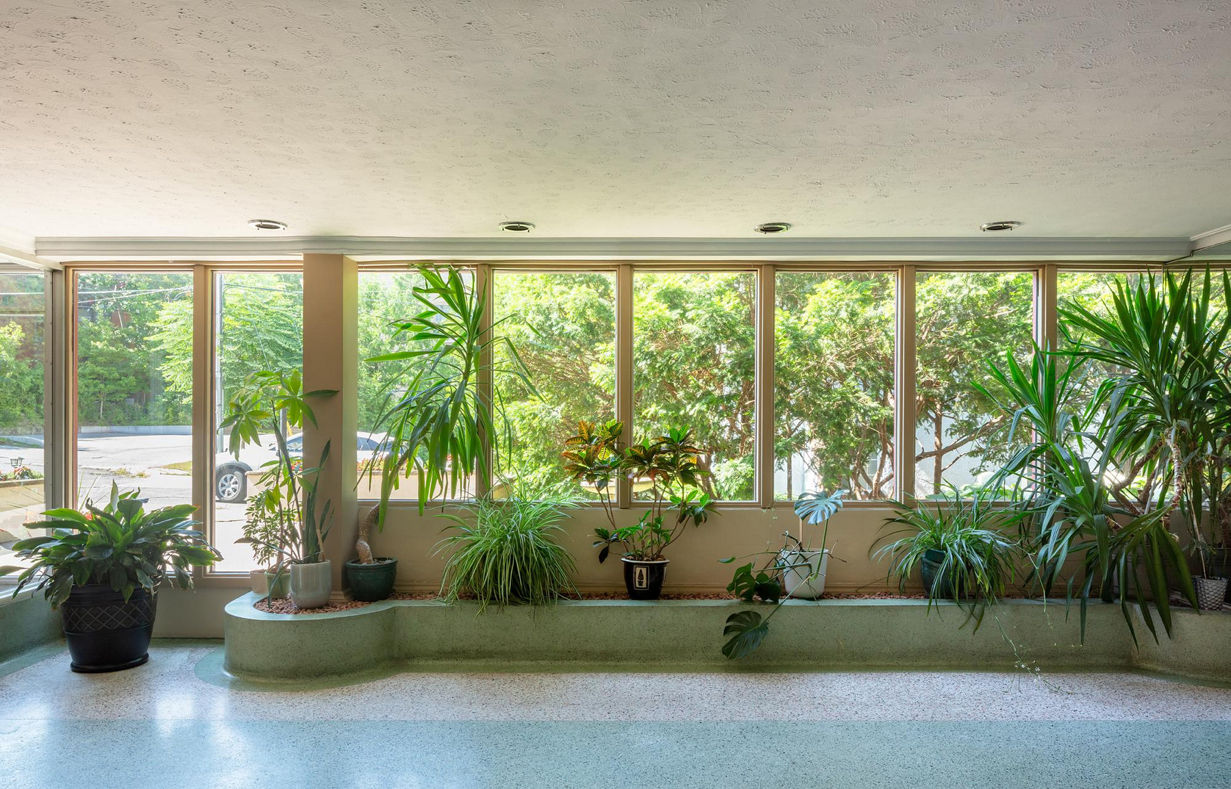 49 Glen Elm Ave - Photo 8