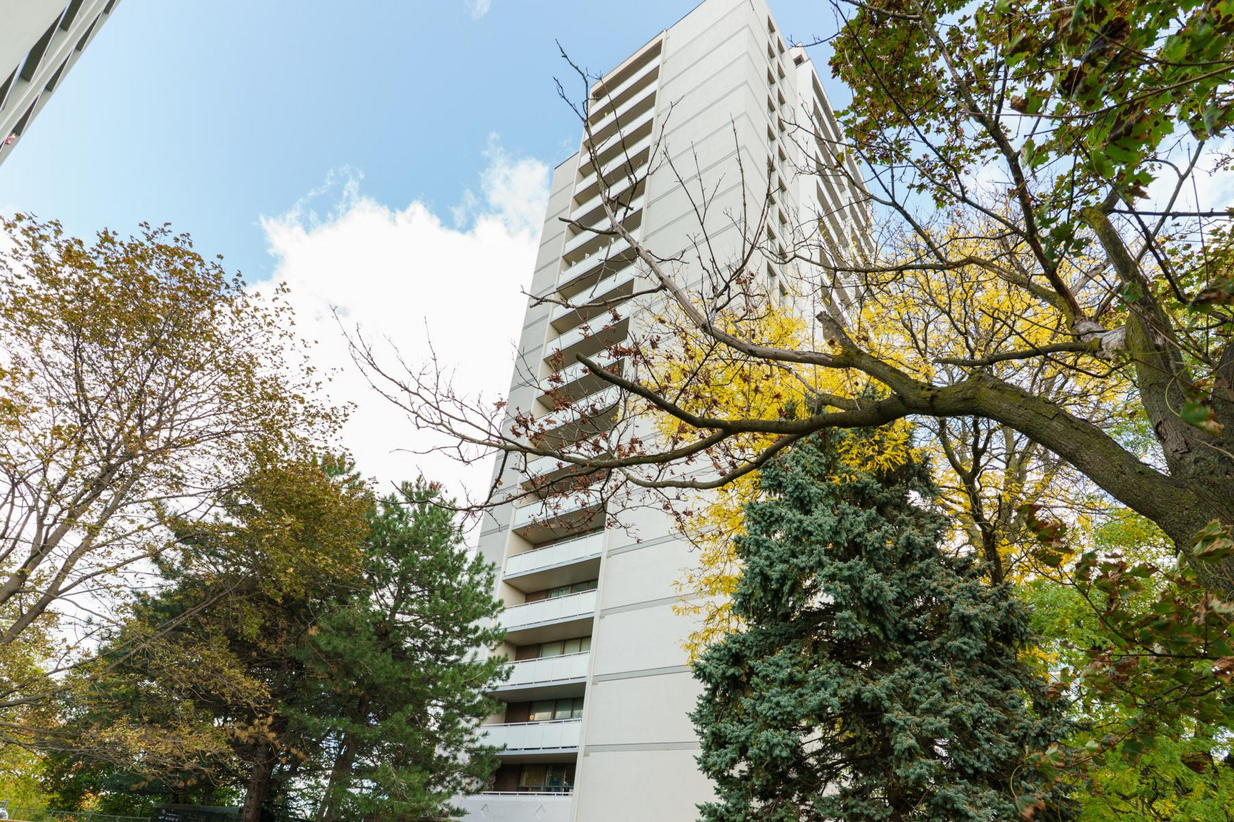1010 Broadview Ave - Photo 4