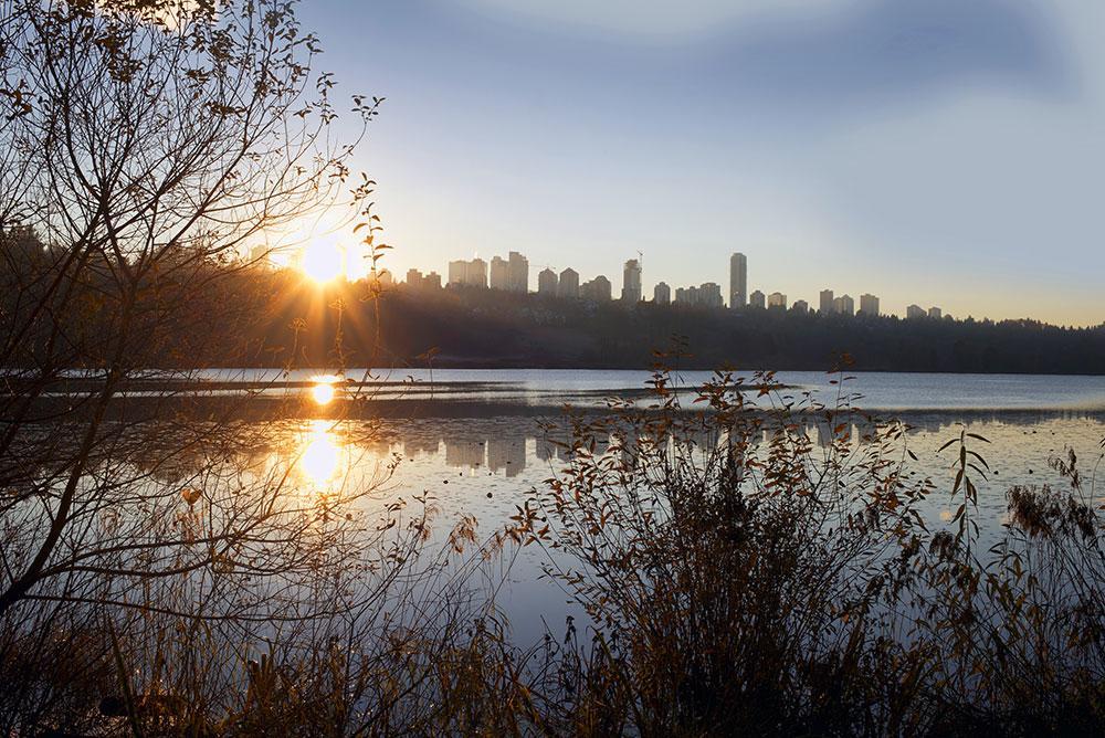 Brentlawn Towers - Photo 20