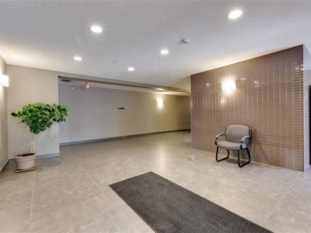 Aspen Meadows 3
