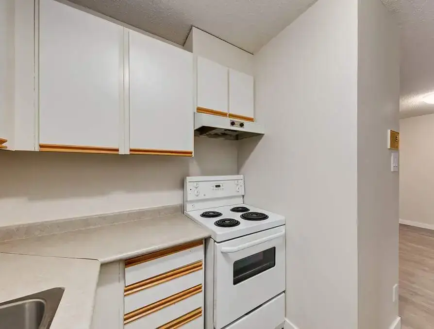 Woodlily Court - Photo 5