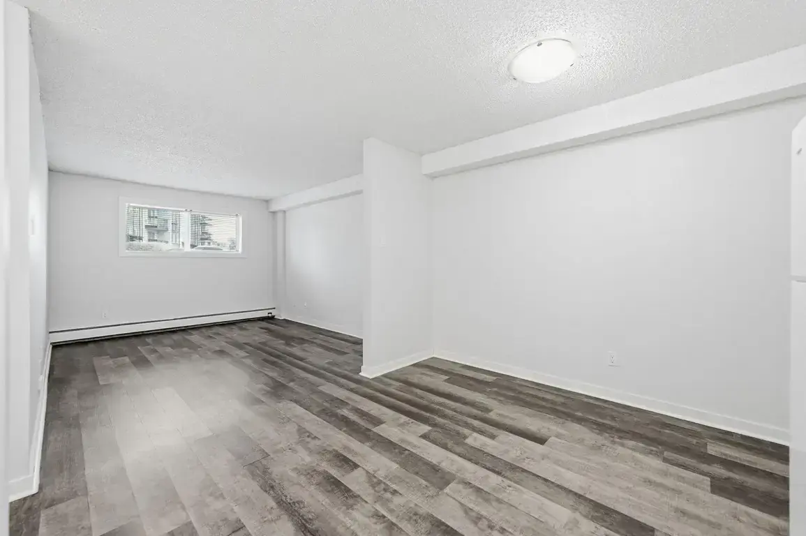 Alan's Place - Photo 23
