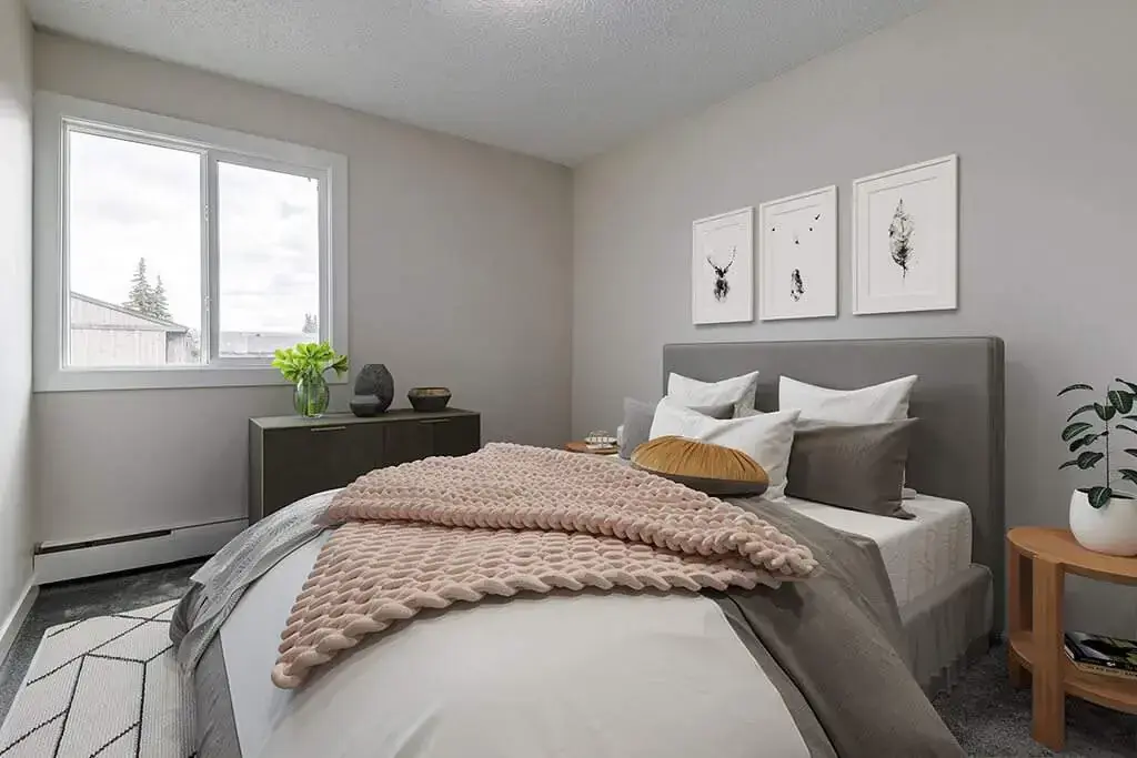 Alan's Place - Photo 39