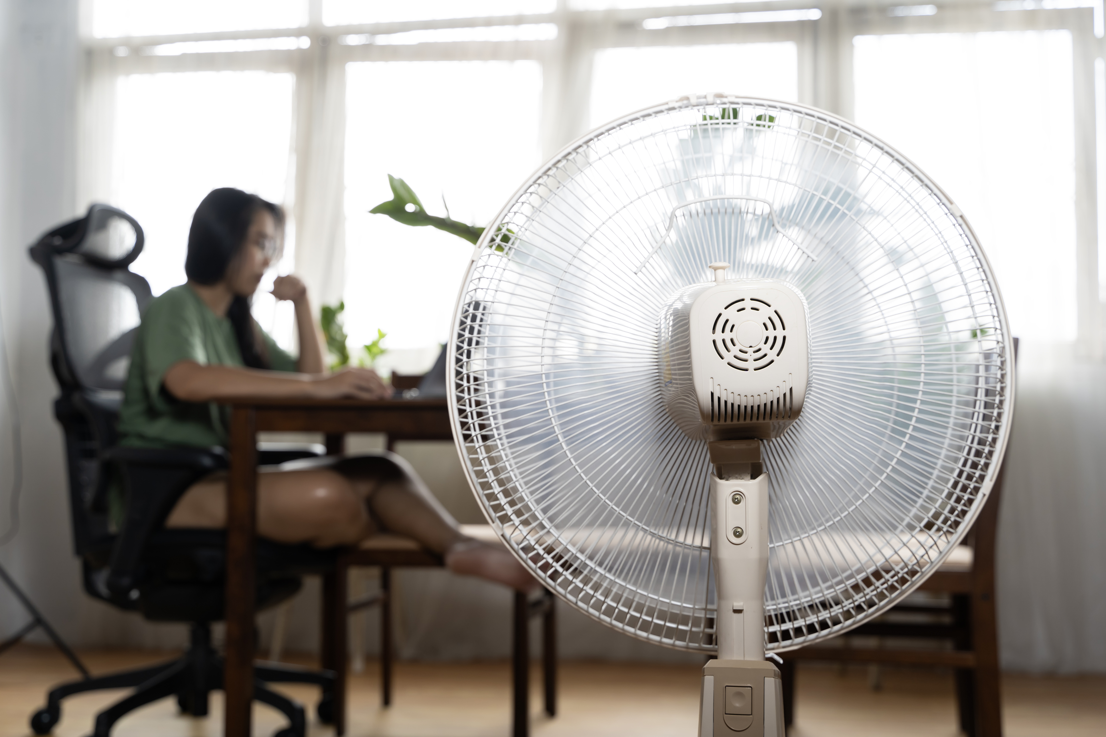 Use fans to keep your home cool.