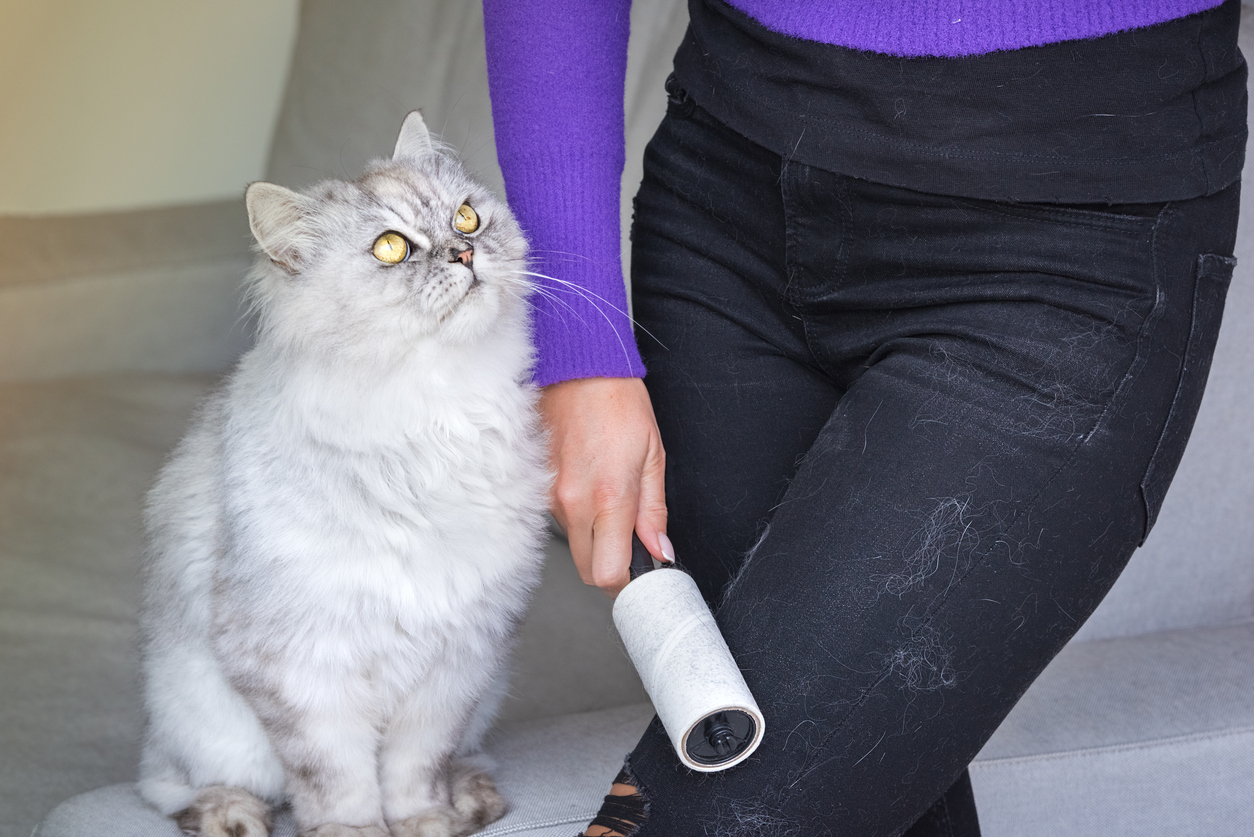 Learn how to manage pet hair in your home.