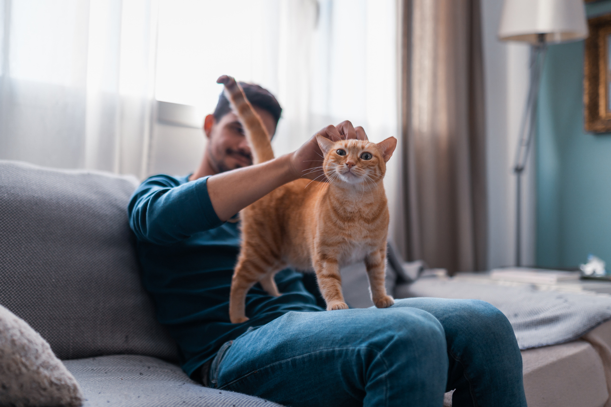 Learn about the daily habits that keep your space clean and fresh with pets.