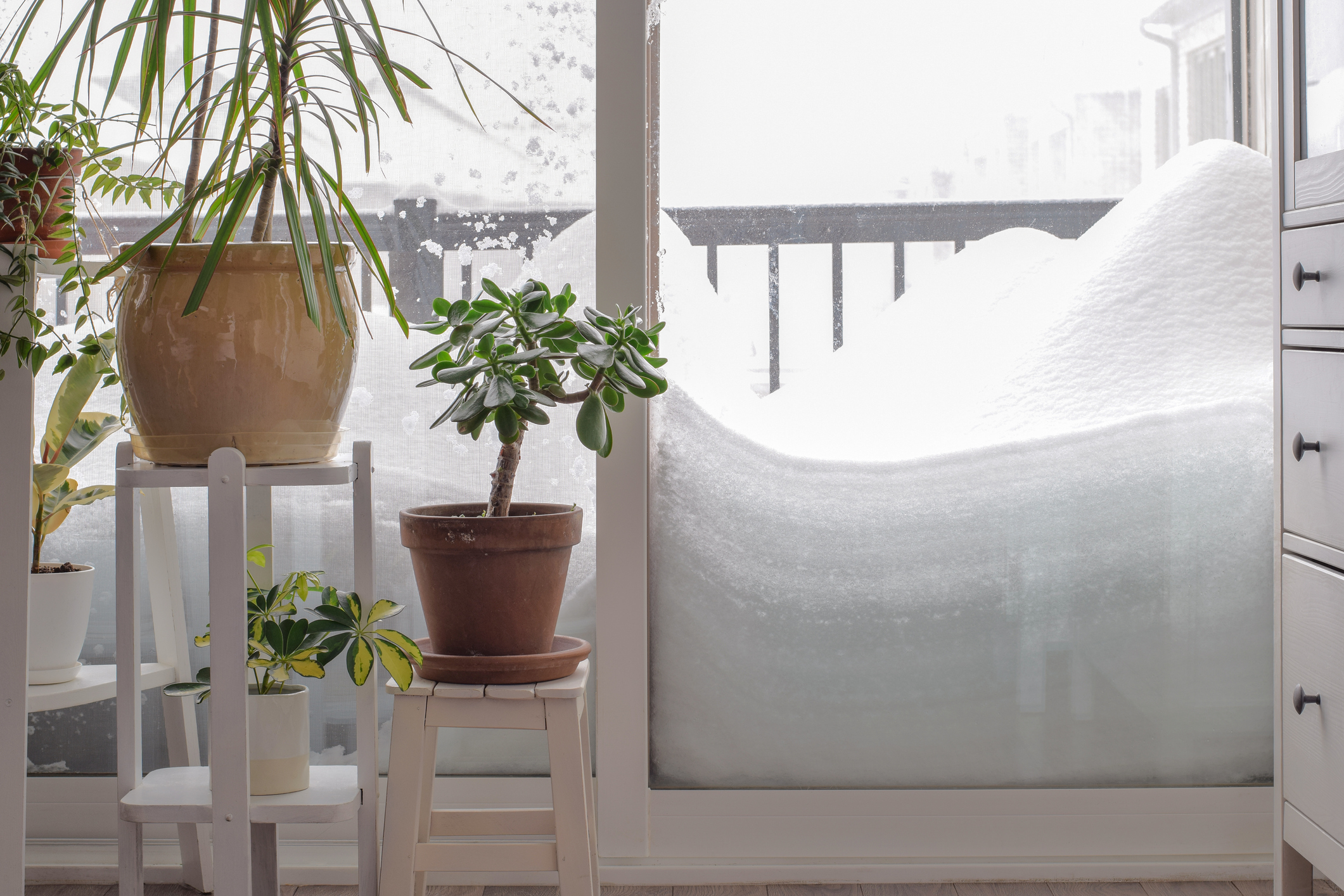 Image of snow build-up on your apartment balcony.