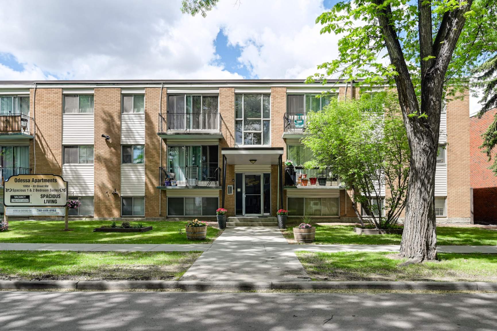 Odessa Apartments - Photo 9