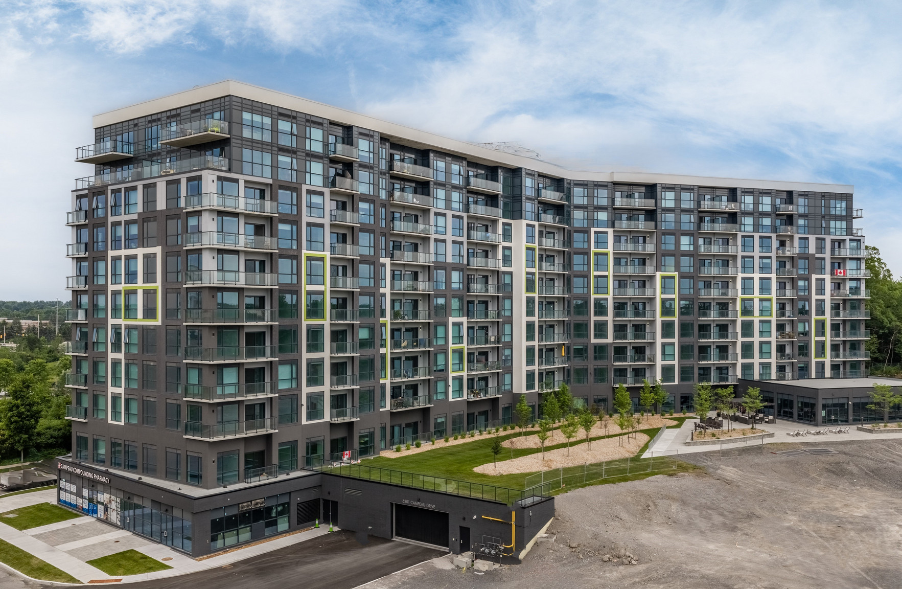 The Palmer  - Photo 19
