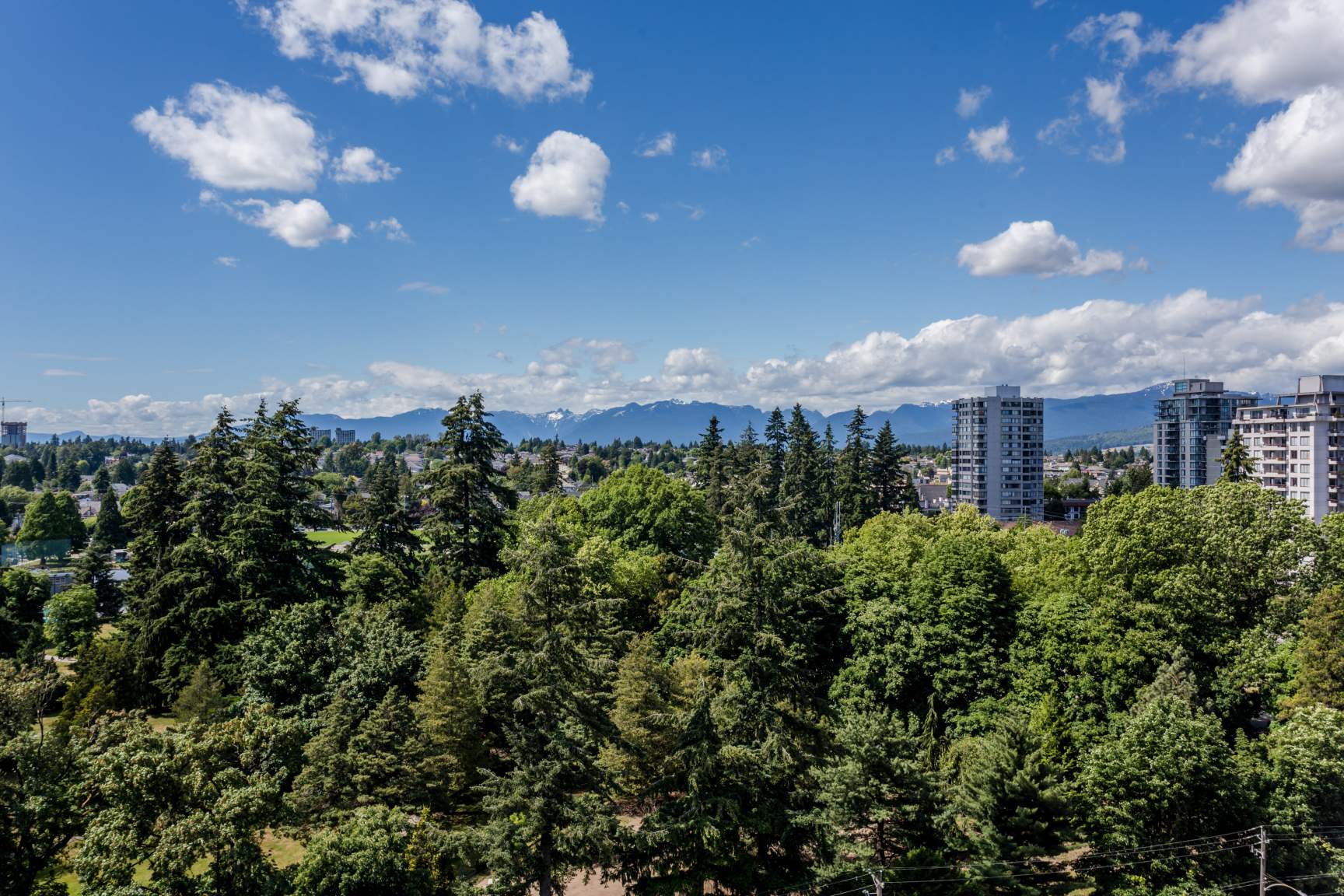 Vista - Photo 14