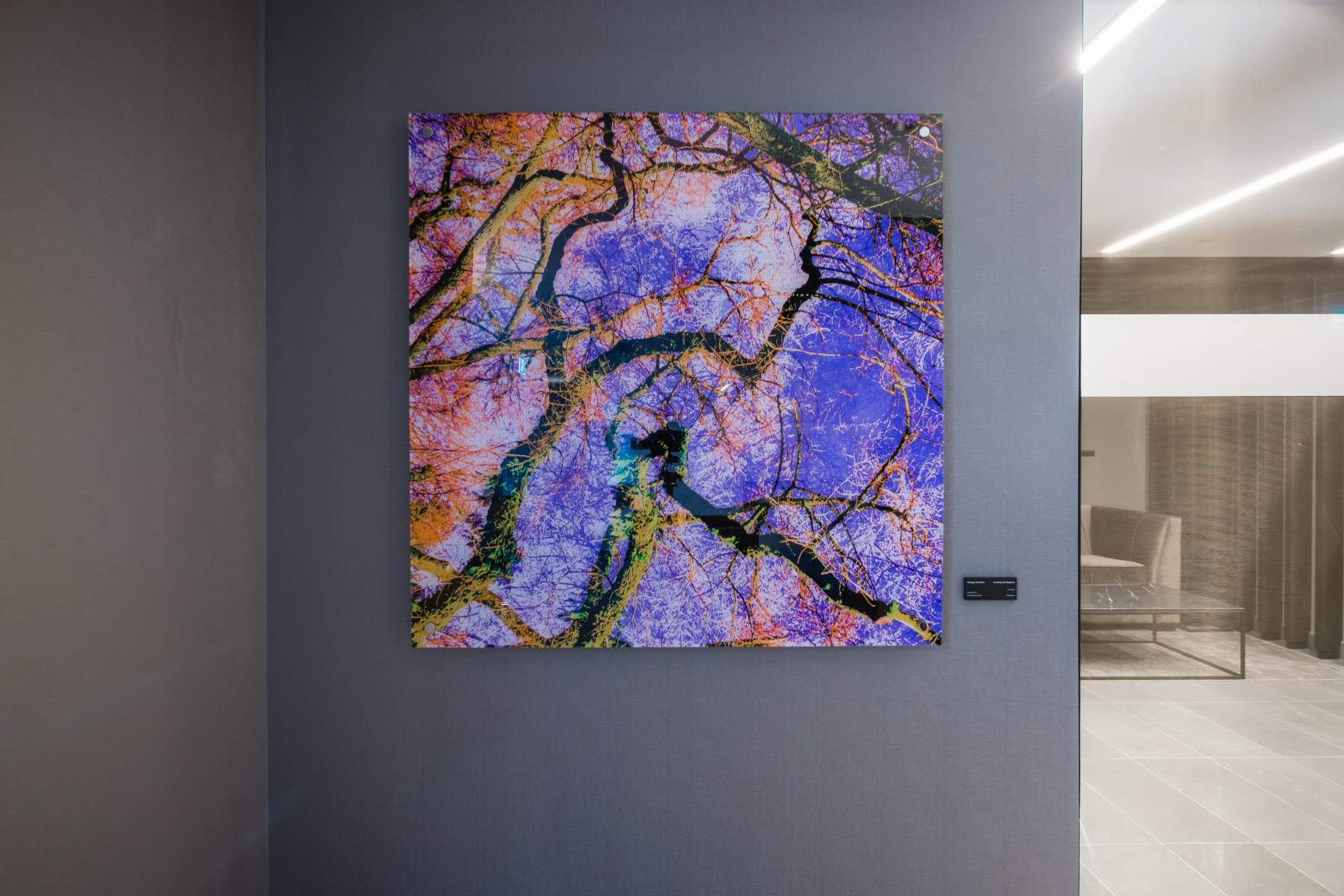 Viridian - Photo 40