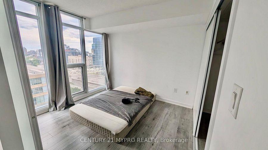 25 Capreol (Luna Vista) - Photo 35