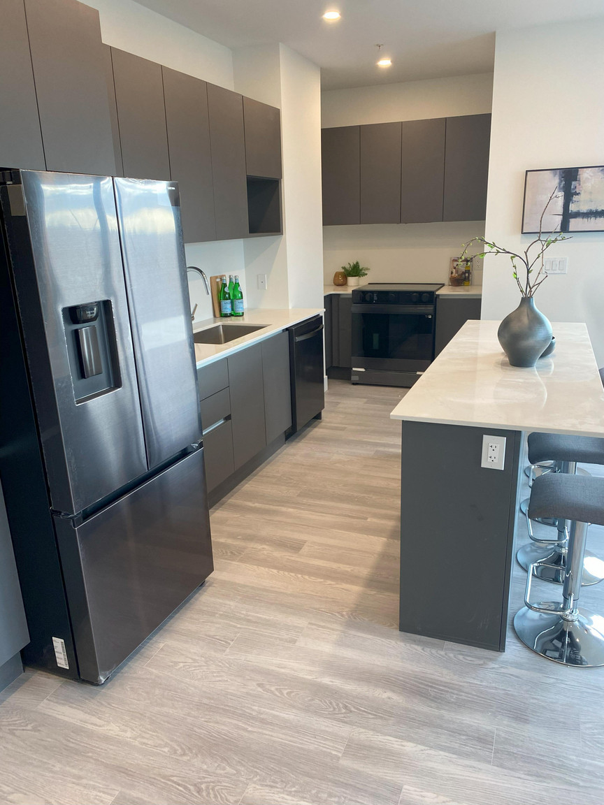 The Prince Albert Apartments - Photo 47