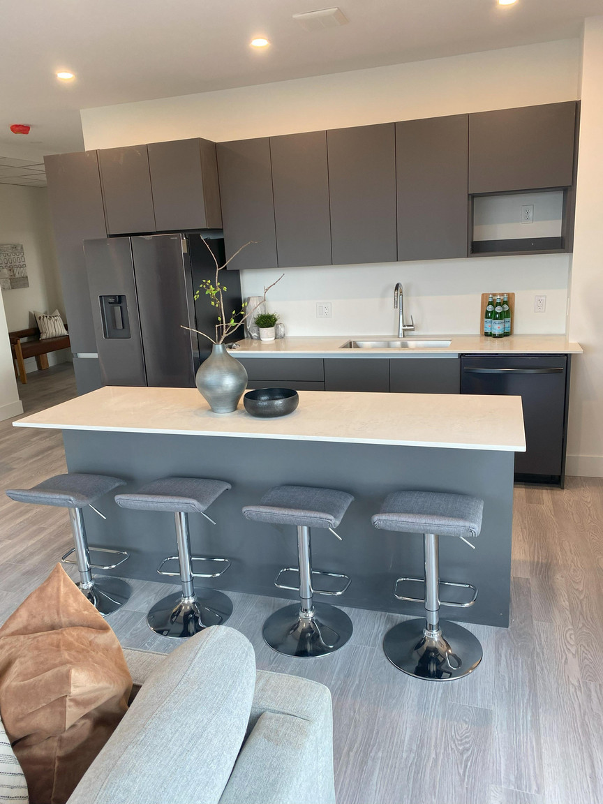 The Prince Albert Apartments - Photo 41