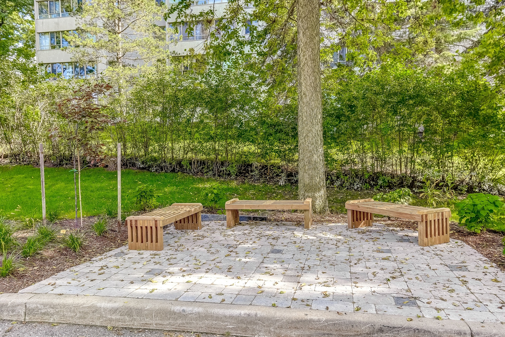 600 Proudfoot Lane - Photo 8