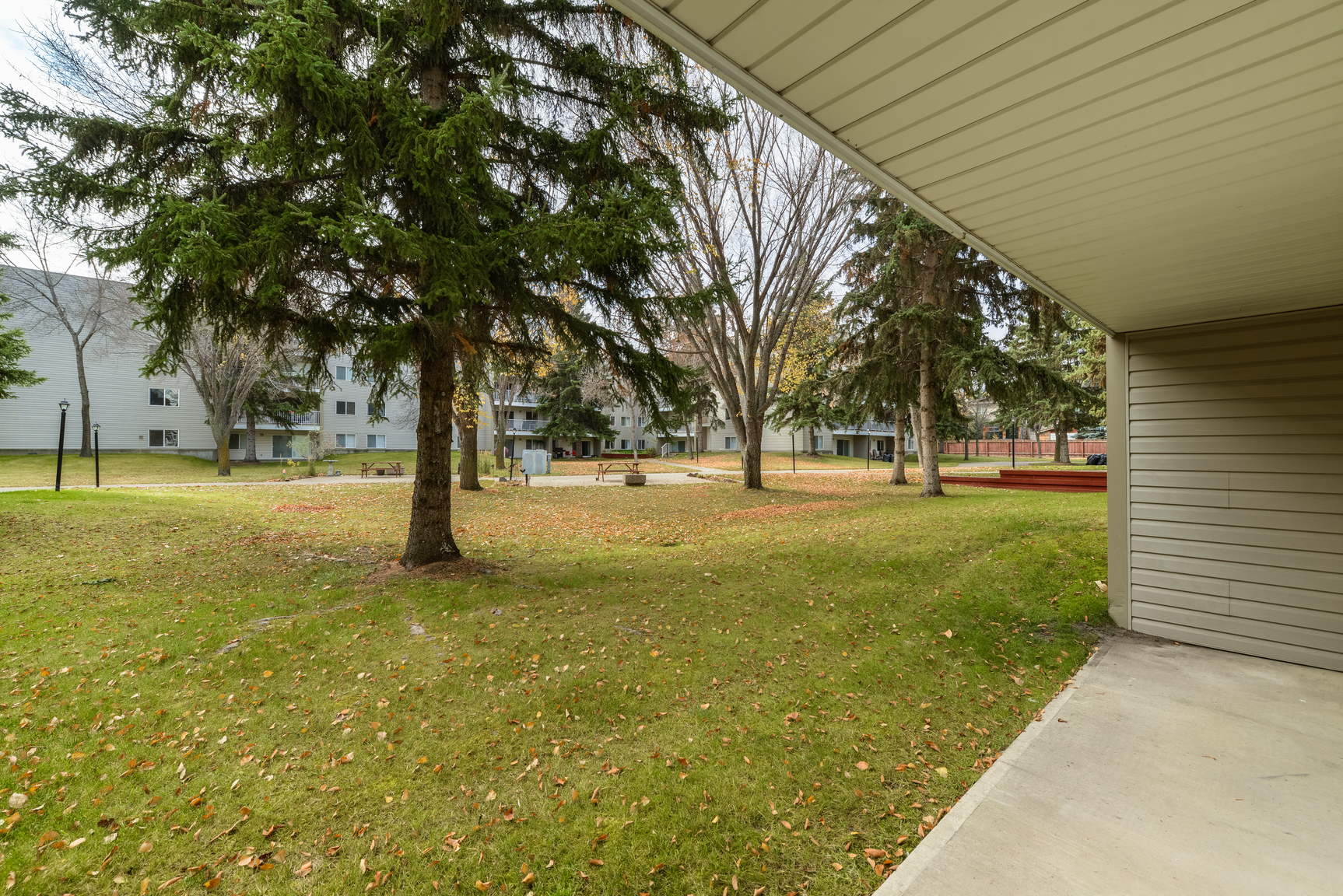 Redwood Court - Photo 8
