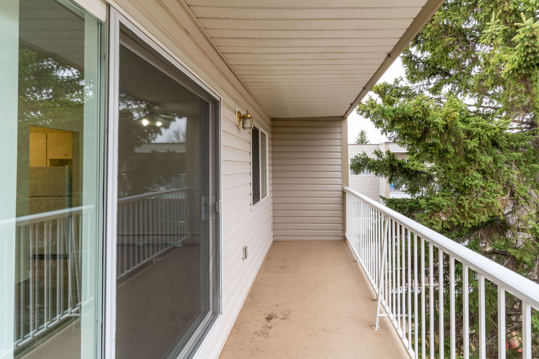 Redwood Court - Photo 9
