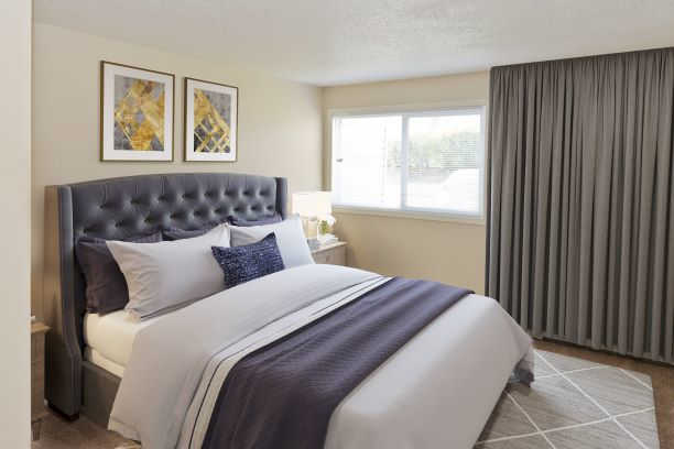 Radisson Village I - Photo 8