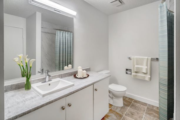 Russet Court - Photo 12