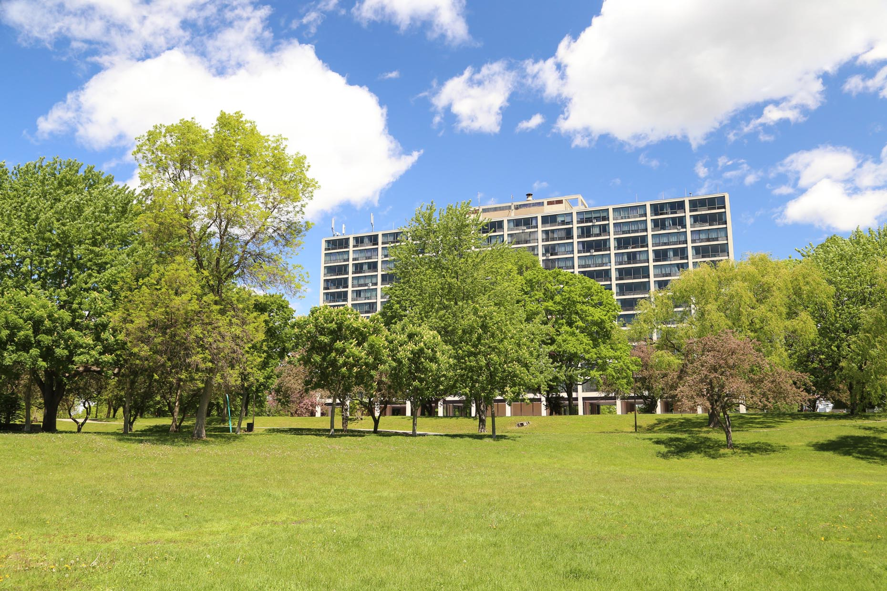 Hi-Rise 1 - Photo 7