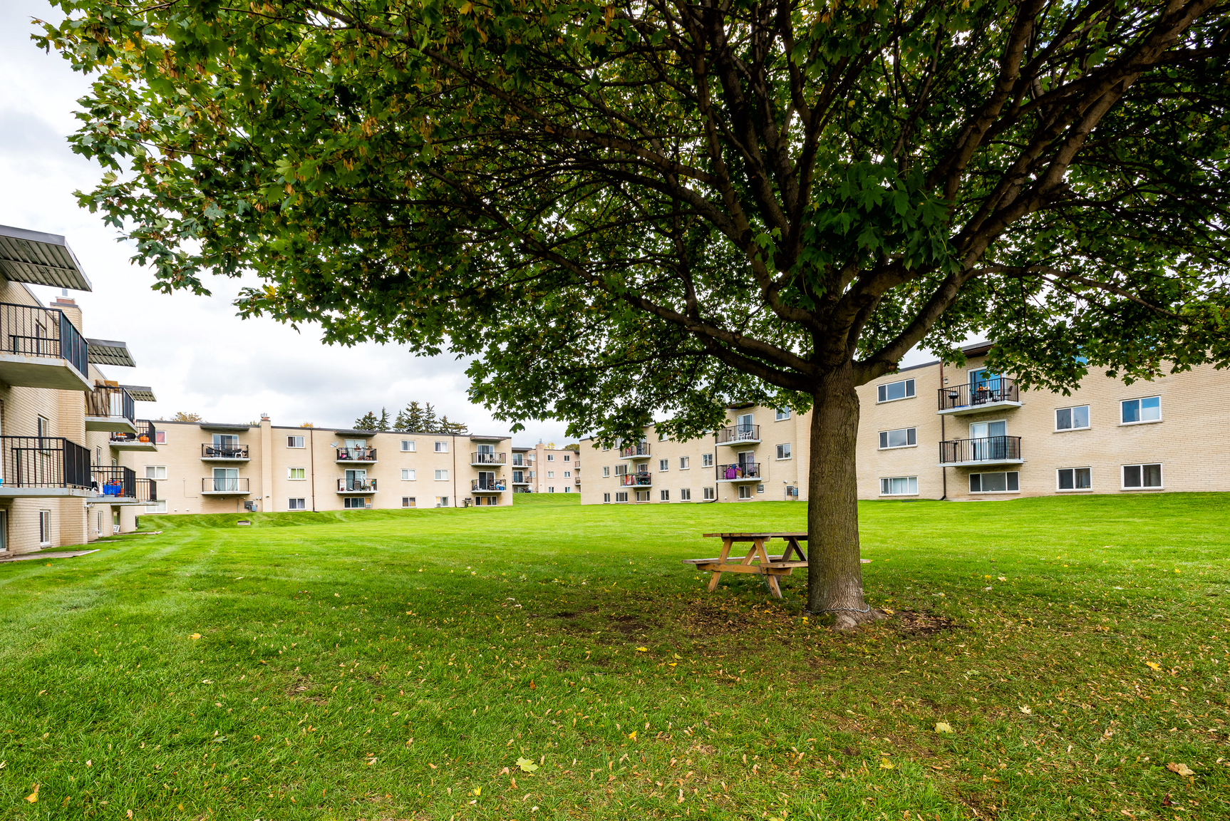 Meadowcrest Apartments - Photo 6