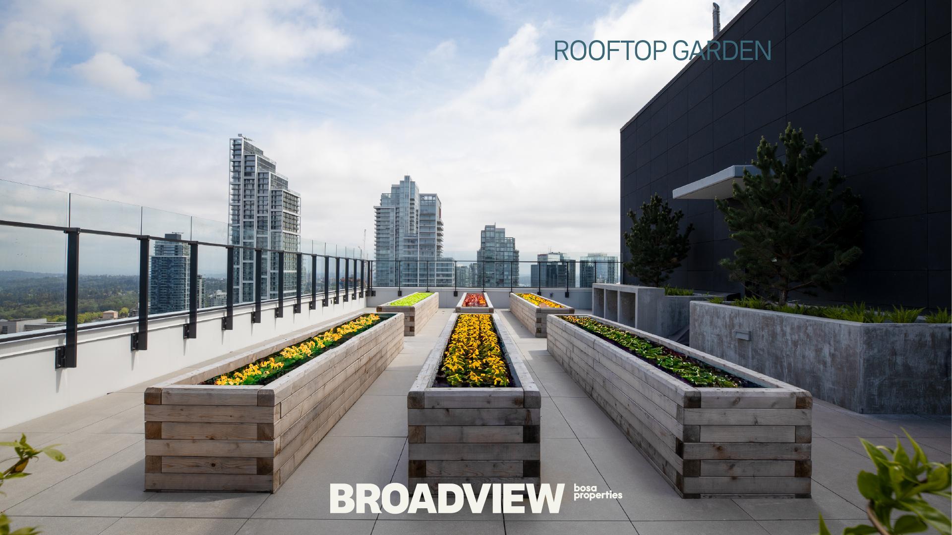 Broadview - Photo 16