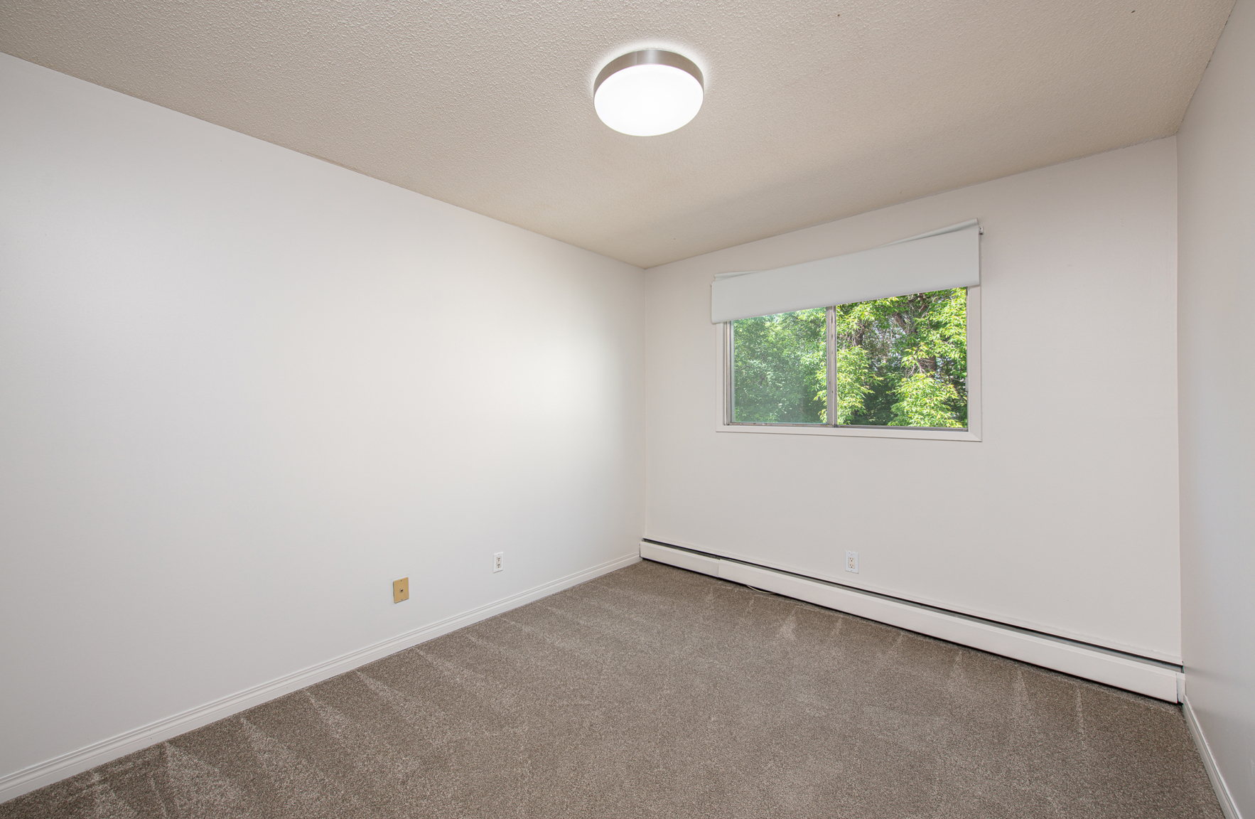 Birch Manor - Photo 12