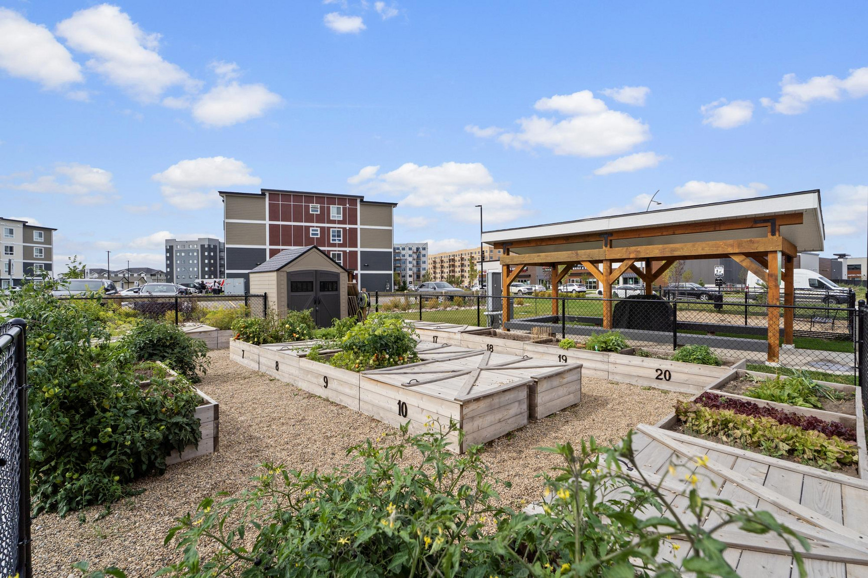 Juniper Gardens - Photo 19