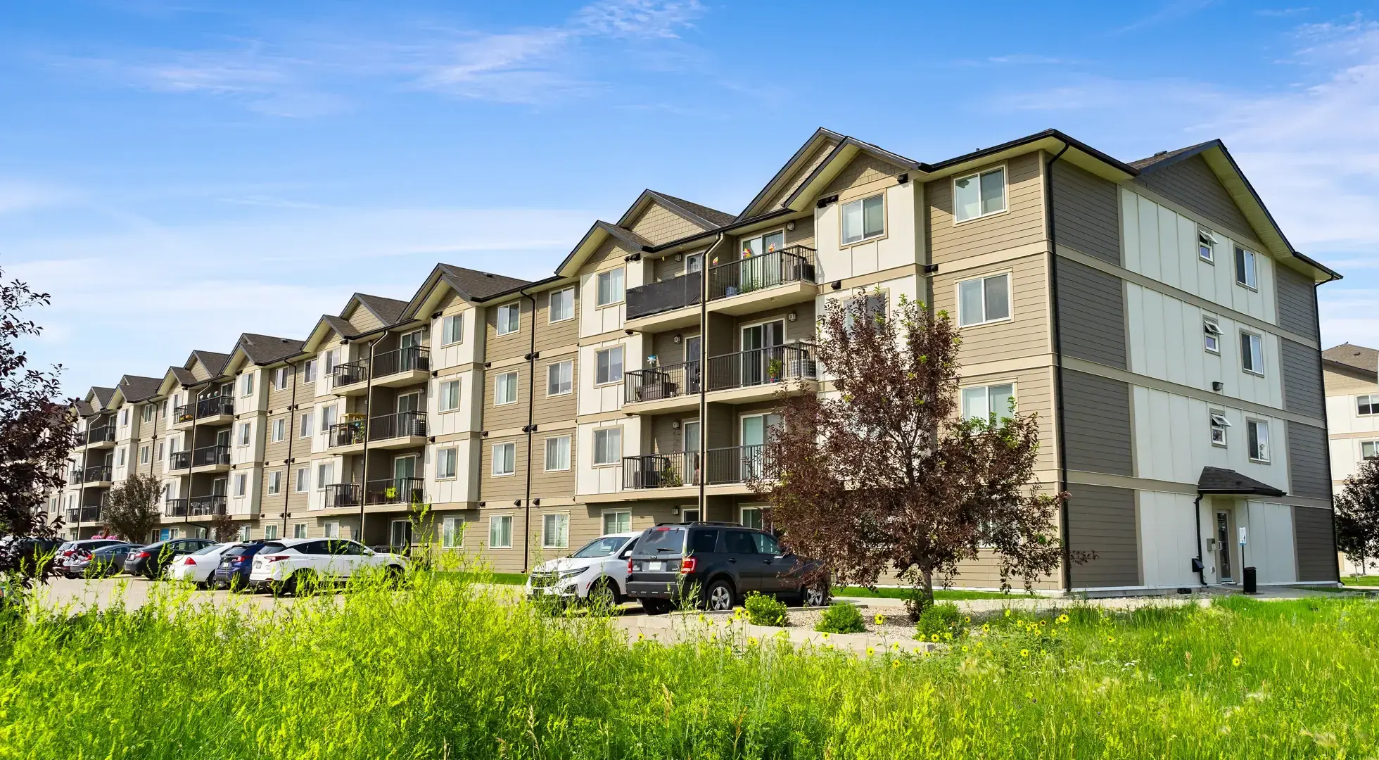 Henderson Meadows - Photo 14