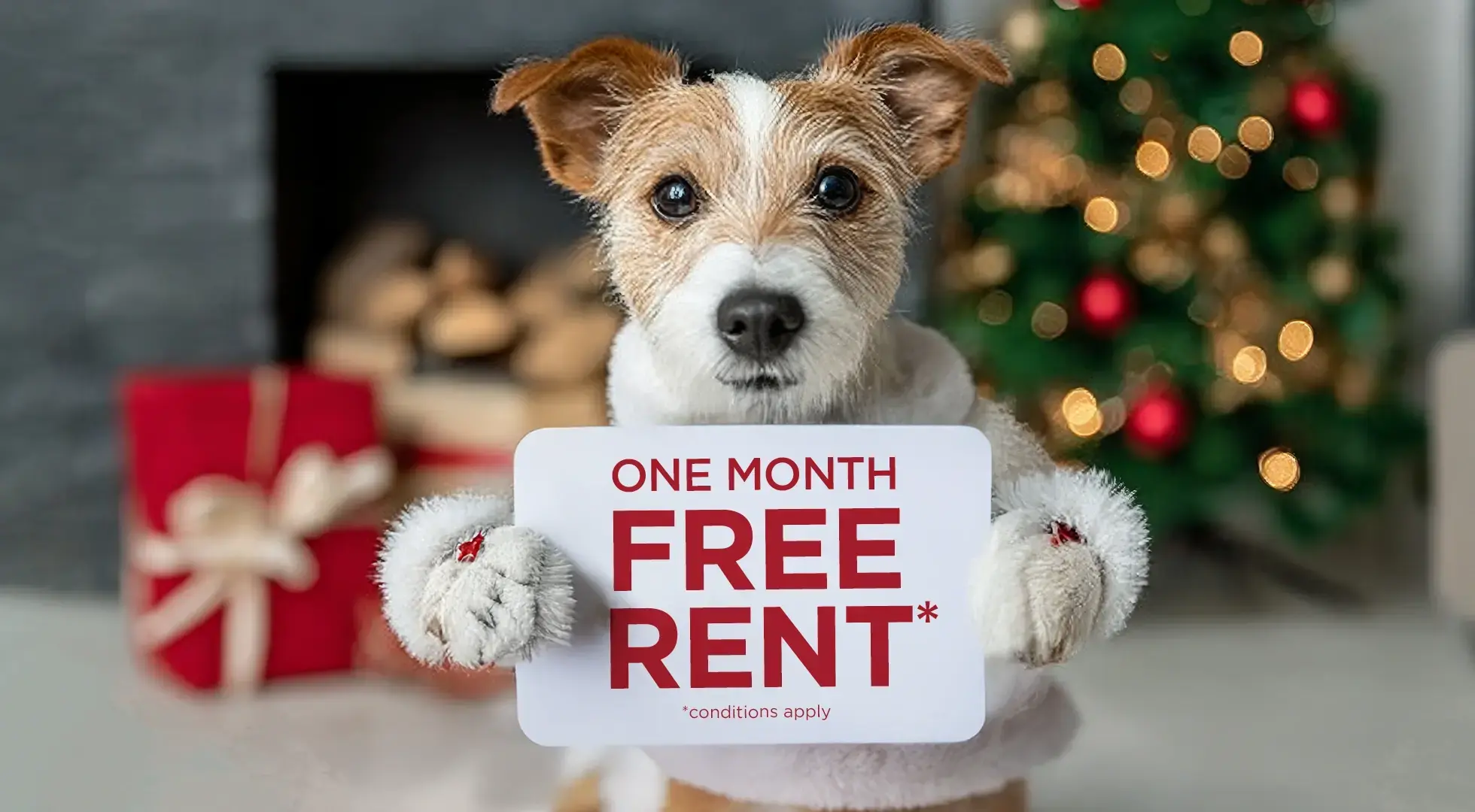Rentals.ca Kelowna Apartments, Condos and Houses For Rent