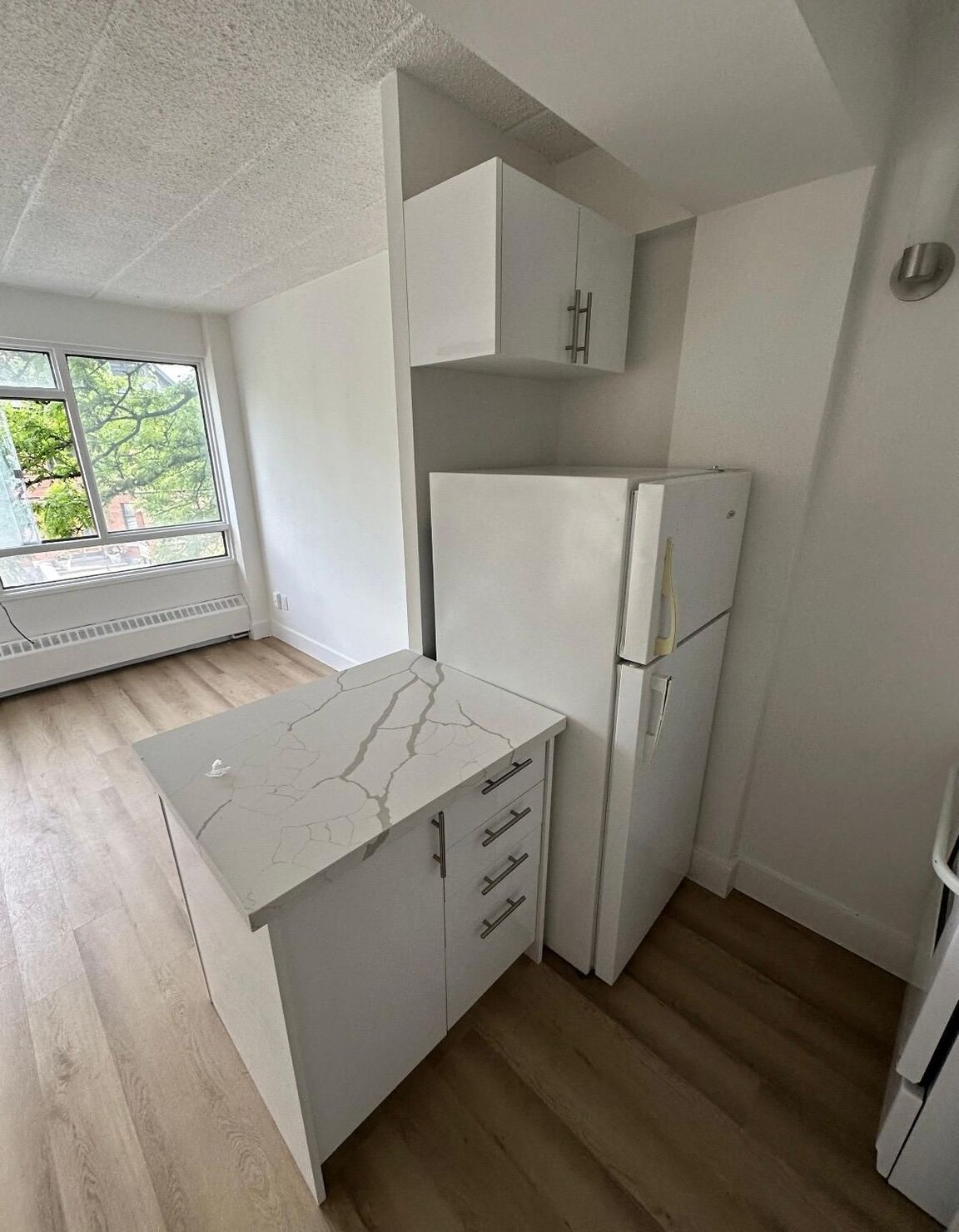 283 MacLaren St - Photo 30