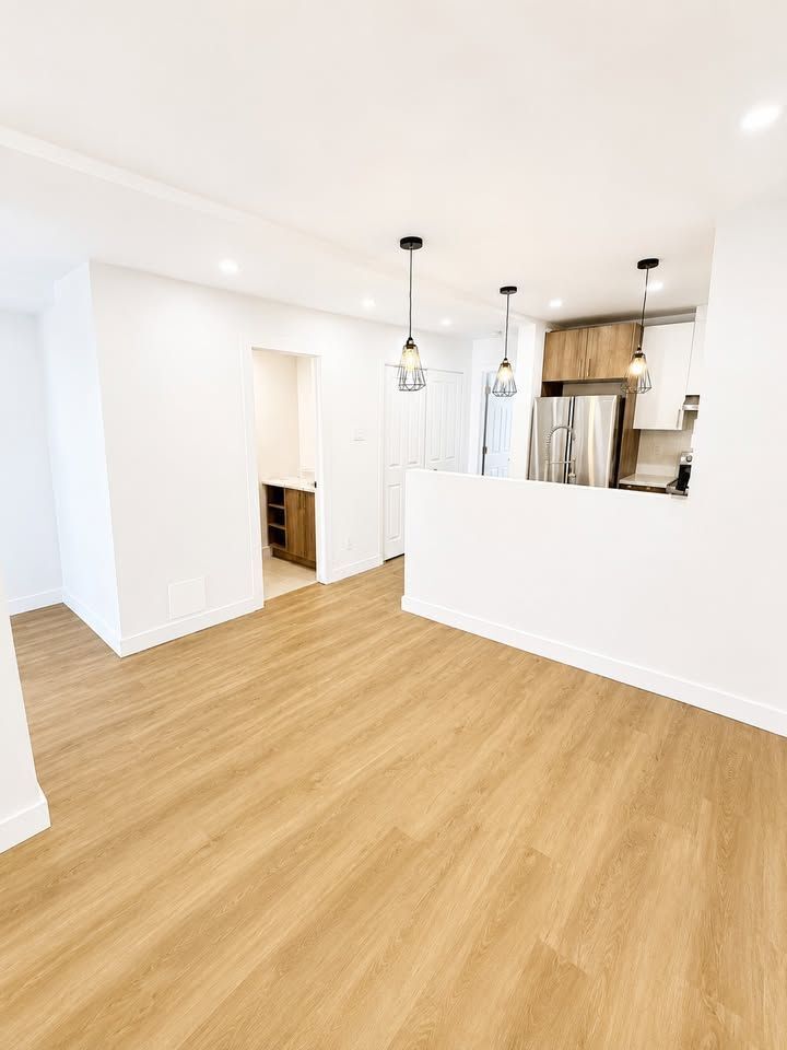 376 Willibrord