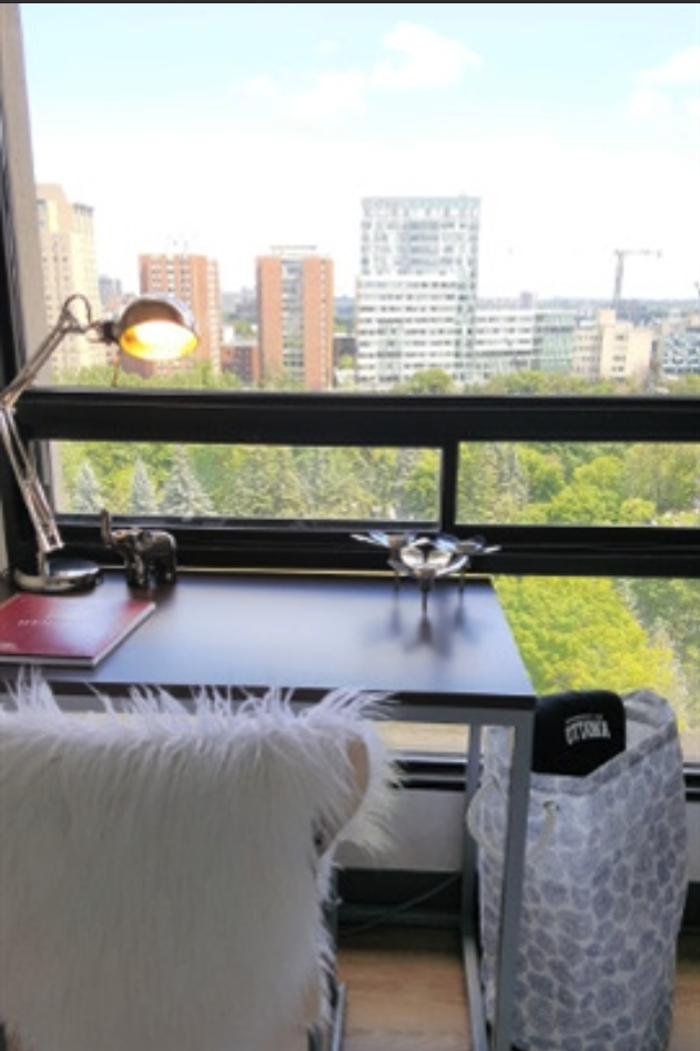 1Eleven Student Apartments - Photo 8