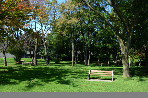 869 – 875 Avenue Road - Photo 44