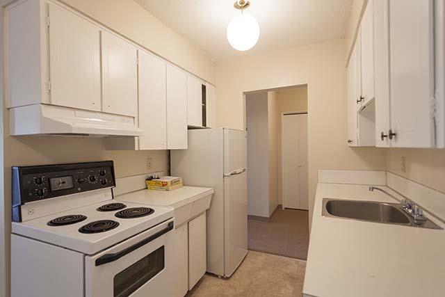 Holly Tree Apartments - Photo 12